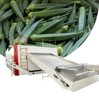 Fruit- en groentedroger, okra-droogmachine met gaasband, groentedroogmachine, voedseldroogmachine, okra-droogapparatuur met gaasband
