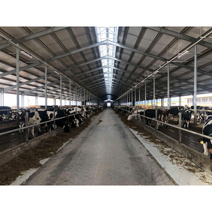 Bò Sữ<span class=keywords><strong>a</strong></span> Đổ Vắt Sữ<span class=keywords><strong>a</strong></span> Trang Trại Bò Friesian Sữ<span class=keywords><strong>a</strong></span> Bò Nông Nghiệp Các Mặt Hàng - Product Image 1