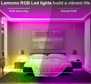 110V <span class=keywords><strong>220V</strong></span> Rgb Luz de neón Flexible Rgb Neón <span class=keywords><strong>Led</strong></span> Luz Rgb <span class=keywords><strong>Led</strong></span> <span class=keywords><strong>Tira</strong></span> Neonflex Luces Luz Cinta Tiras <span class=keywords><strong>Led</strong></span> Neón - Product Image 5