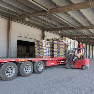 हैलोंग फैक्ट्री प्रत्यक्ष पॉलीविनाइल क्लोराइड उच्च गुणवत्ता सस्ती कीमत पीवीसी राल एसजी5 के67 - Product Image 5