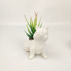 Casa Oficina escritorio decoración de cerámica Fox <span class=keywords><strong>en</strong></span> forma de suculentas maceta jardinera Cactus maceta - Product Image 4
