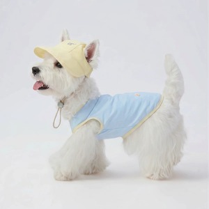 Proveedor Mayorista de Artículos para Mascotas, Chaleco Transpirable para Perros, Ropa Casual de Verano para Cachorros, Fábrica OEM Personalizada - Product Image 1