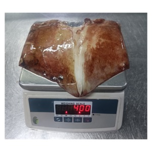 <span class=keywords><strong>ปีก</strong></span><span class=keywords><strong>ปลาหมึก</strong></span><span class=keywords><strong>ยักษ์</strong></span>แช่แข็งคุณภาพสูง <span class=keywords><strong>ปีก</strong></span><span class=keywords><strong>ปลาหมึก</strong></span>อินเดีย ราคาดี - Product Image 2