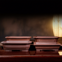Ensemble de pots à bonsaï Zisha vintage, longs et peu profonds, en céramique artisanale respirante pour la décoration intérieure de paysages bonsaïs