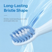 Brosse à dents électrique intelligente portable de haute qualité, alimentée par batterie, étanche IPX7, vibrante, pour adultes