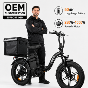 Bicicleta Eléctrica Personalizable con Motor sin Escobillas de 750W/1000W, 48V 50Ah, Neumáticos Anchos, Precio de Fábrica ODM - Product Image 1