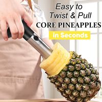Outil manuel en acier inoxydable pour éplucher et trancher les fruits, coupe-ananas domestique, extracteur de noyau