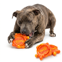 Jouet à mâcher pour chien en nylon et caoutchouc écologique, bol à lécher, jouet indestructible en forme d'arête de poisson pour le nettoyage des dents molaires, livraison directe