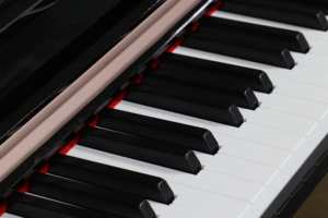 Venta al por mayor de alta calidad plegable teclado Instrumentos Musicales Pianos para la venta - Product Image 5