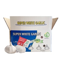 Ail frais blanc pur de Shandong, Chine, conformité normes UE, nouvelle récolte, fournisseur en gros à vendre sur ALIBABA
