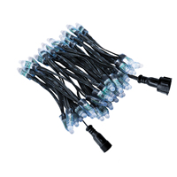 Bande lumineuse LED flexible RGB programmable 12V WS2811 100 LED, étanche, pour éclairage paysager et domestique