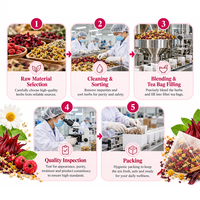 Tisanes aux herbes en marque blanche Hibiscus, Aubépine, Rooibos, Camomille, Lavande, Mélisse, Cannelle – Mélange botanique quotidien – Usine OEM ODM