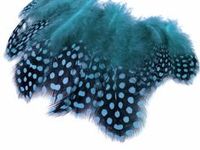 HY Vente en gros Colorant Plumage de poule d'Inde en plumes de poule d'Inde de 2 à 4 pouces pour fête de mariage
