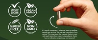 Capsules de croissance capillaire pour hommes OME de haute qualité à base de palmier nain, amélioration de l'énergie et de la prostate masculine, soutien immunitaire pour la croissance des cheveux