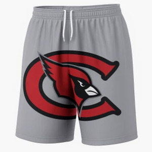 Pantalones Cortos Casuales para Hombre/Mujer con Logotipo Personalizado |   Shorts de Playa Transpirables de Alta Calidad para Verano |   Ropa Deportiva Personalizada OEM - Product Image 1