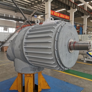 Generador/Alternador de Imán Sin Escobillas de Baja Velocidad (10kW, 300 RPM, 50Hz, 220V) en Venta - Product Image 5