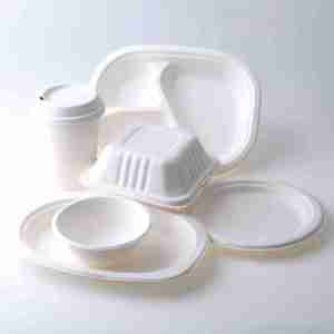 Contenedor compostable de bagazo - Product Image 1