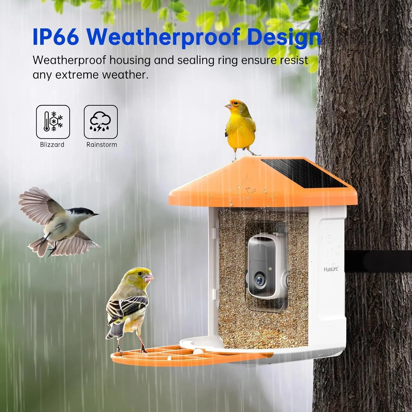New 1080p HD Outdoor AI identifiable Bird Feeder Camera with Solar Panel Waterproof Wild Bird Feeders Pet Bowls   Feeders