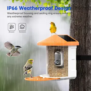 Neue 1080p HD Outdoor KI identifizierbare Vogel-Fütterkamera mit Solarpanel wasserdichte Wildvogel-Fütterungen Haustierschalen und Fütterungen