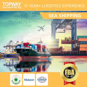 international freight forwarder sea freight sensitive goods sea freight rates to usa Canada Uk Spain
