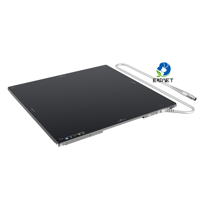 EUR VET Veterinary Equipment Digital Radiography X Ray Flat Plate Panel Detector Low Price Digital Radiology Equipment for Vet