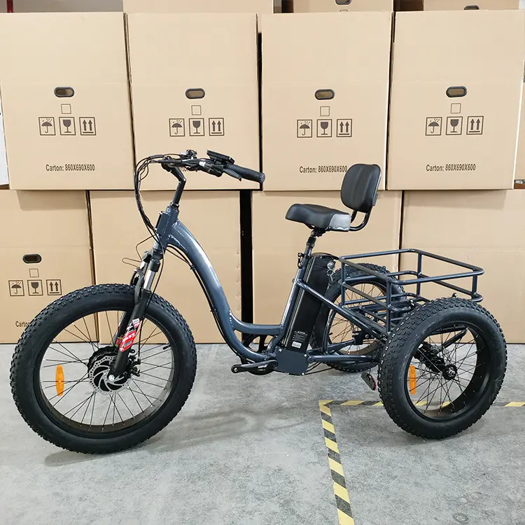 Vélos électriques 48V 750W à trois roues, gros pneus, tricycles électriques pour adultes, vélo cargo électrique à 3 roues pour personnes âgées