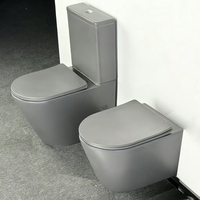 Ensemble WC monobloc et bidet sur pied, en céramique vitreuse sanitaire, finition doré mat, avec réservoir à double chasse.