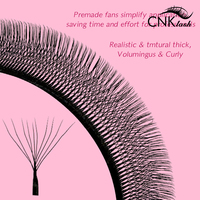 Extensions de cils en grappes 10D en gros, extensions de cils segmentées DIY 0,07 mm, courbure C D DD, longueurs mixtes, marque privée OEM ODM