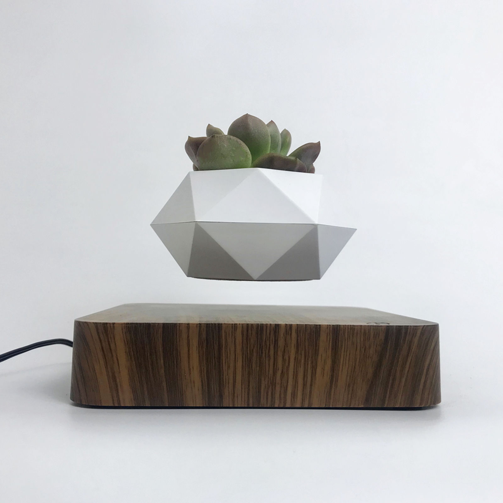 source 空气植物北欧磁悬浮花盆浮水植物盆栽家居装饰圣诞节生日礼物