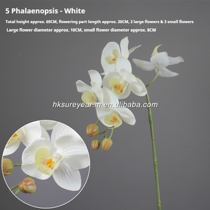 Orchidée Papillon Artificielle en PU Effet Naturel 69cm, Tige en Latex Phalaenopsis avec Fil de Fer pour Décoration Intérieure - Product Image 6