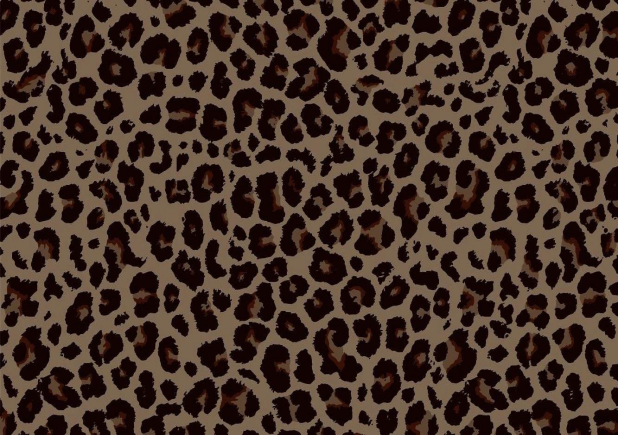 Imprimé léopard 2