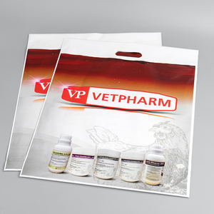 Bolsas de Compras Personalizadas al por Mayor con Logotipo, Bolsas de Plástico con Asas, Bolsas de Regalo Troqueladas para Tiendas de Ropa y Boutiques - Product Image 3