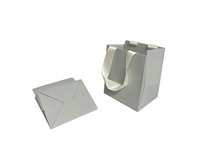 Sacs cadeaux en carton kraft personnalisés avec logo de marque en relief, impression offset et poignée en ruban pour l'emballage de chaussures et de vêtements