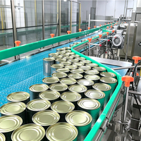 ENAK High Accuracy Automatische Productielijn voor Ingeblikt Fruit, Groenten, Druiven, Gele Perziken en Aardbeien