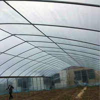 Serre pour pommes de terre, tunnel pour fraises, serre pour tomates, structure en acier avec couverture en film, origine Chine, marque Zhuotai