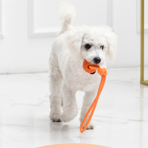 <span class=keywords><strong>ลูก</strong></span>บอลยางเรืองแสงในที่มืดสำหรับสุนัขและแมว - ทำความสะอาดฟันและแก้เบื่อ ของเล่นฝึกฝนกลางแจ้ง - Product Image 2