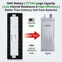 Batterie Li-Polymère en Gros SK80 SK60 SK77 77.7Ah 70Ah Soft Pack 3.7V pour Véhicules Électriques et Stockage d'Énergie - Cellules Lithium Pouch