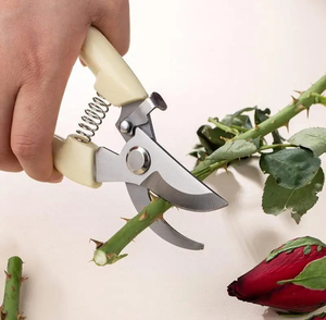 กรรไกรตัดแต่งกิ่งสวนสแตนเลสขายส่ง เครื่องมือจัดสวนกลางแจ้งสำหรับตัดผลไม้ กรรไกรทำสวนมืออาชีพ กรรไกรครัว - Product Image 2