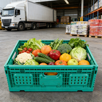 Caisses de récolte pliables 600*400*215mm, paniers de rangement en plastique durables, bacs de rangement empilables