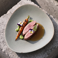 Assiette Plate Nordique Triangulaire en Céramique pour Steak, Vaisselle en Porcelaine en Gros pour Hôtels et Restaurants
