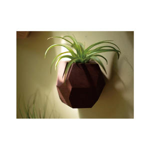 Support de <span class=keywords><strong>plante</strong></span> d'air mural en bois naturel - Product Image 4