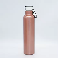 Botella Deportiva Aislada Unisex de 750 ml con Asa, Logotipo Personalizado, Acero Inoxidable al Vacío, Tapa de Plástico, Libre de BPA, a Prueba de Fugas, Térmica de 12-24 Horas