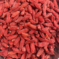 Natuurlijke Premium Biologische Gedroogde Gojibessen Bulk Rode Wolfberry Zoete Vruchten Ningxia voor Thee Snack Bakken Koken Groothandel