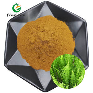Fruiterco-extracto en polvo de cola de caballo de campo Herbal, extracto de Arvense Equisetum - Product Image 1