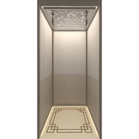 Ascenseur hydraulique pour villa personnalisable de 400 kg, petit ascenseur pour passagers, avec un excellent rapport qualité-prix