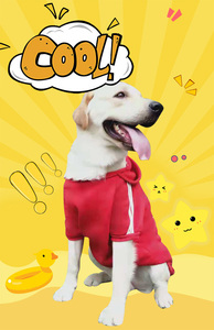 Sweat à capuche pour chien avec logo personnalisé, vêtements à capuche pour l'automne et l'hiver, XS à 10XL, pour chiens de taille moyenne et grande, Labrador, <span class=keywords><strong>Chicago</strong></span> <span class=keywords><strong>Bulls</strong></span> - Product Image 4