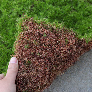 บล็อกมอสเทียมสำหรับงานฝีมือ <span class=keywords><strong>มอ</strong></span><span class=keywords><strong>ส</strong></span><span class=keywords><strong>ปลอม</strong></span><span class=keywords><strong>ส</strong></span>ำหรับตกแต่งกระถางต้นไม้ ดอกไม้ และของประดับตกแต่ง - Product Image 5