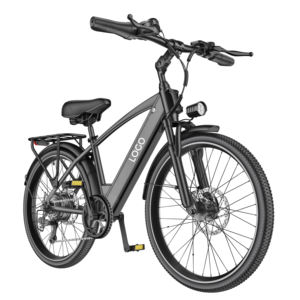 Vélo électrique hybride GOKEEP EP26, Ebike 250W 48V, vélo de banlieue pour adultes, 26 pouces, vitesses Shimano, frein à disque, assistance au pédalage, usine OEM ODM - Product Image 1