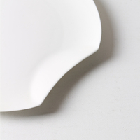Assiette de restaurant en porcelaine fine en gros, écologique, durable, pour fêtes, avec logo personnalisé