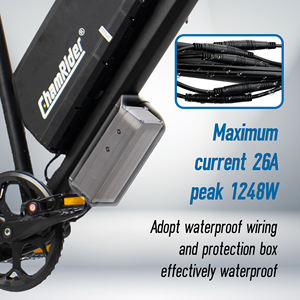DM427 ChamRider Vélo Électrique 48V 27Ah 250W Puissant Entrepôt UE Prêt à Expédier VTT Électrique Ebike Vélo de Route Électrique - Product Image 5